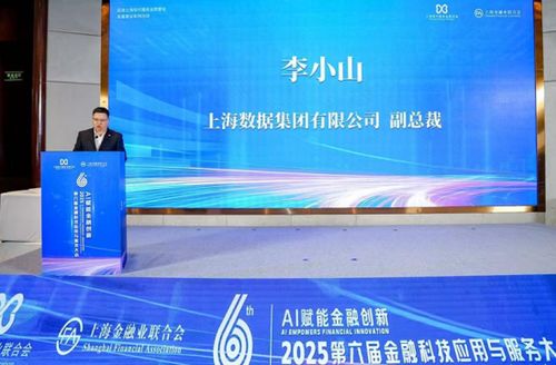 AI賦能金融創(chuàng)新 2025第六屆金融科技應用與服務大會聚焦信息技術咨詢服務新范式